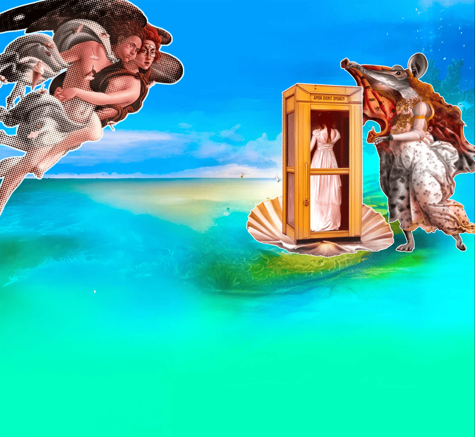 home image