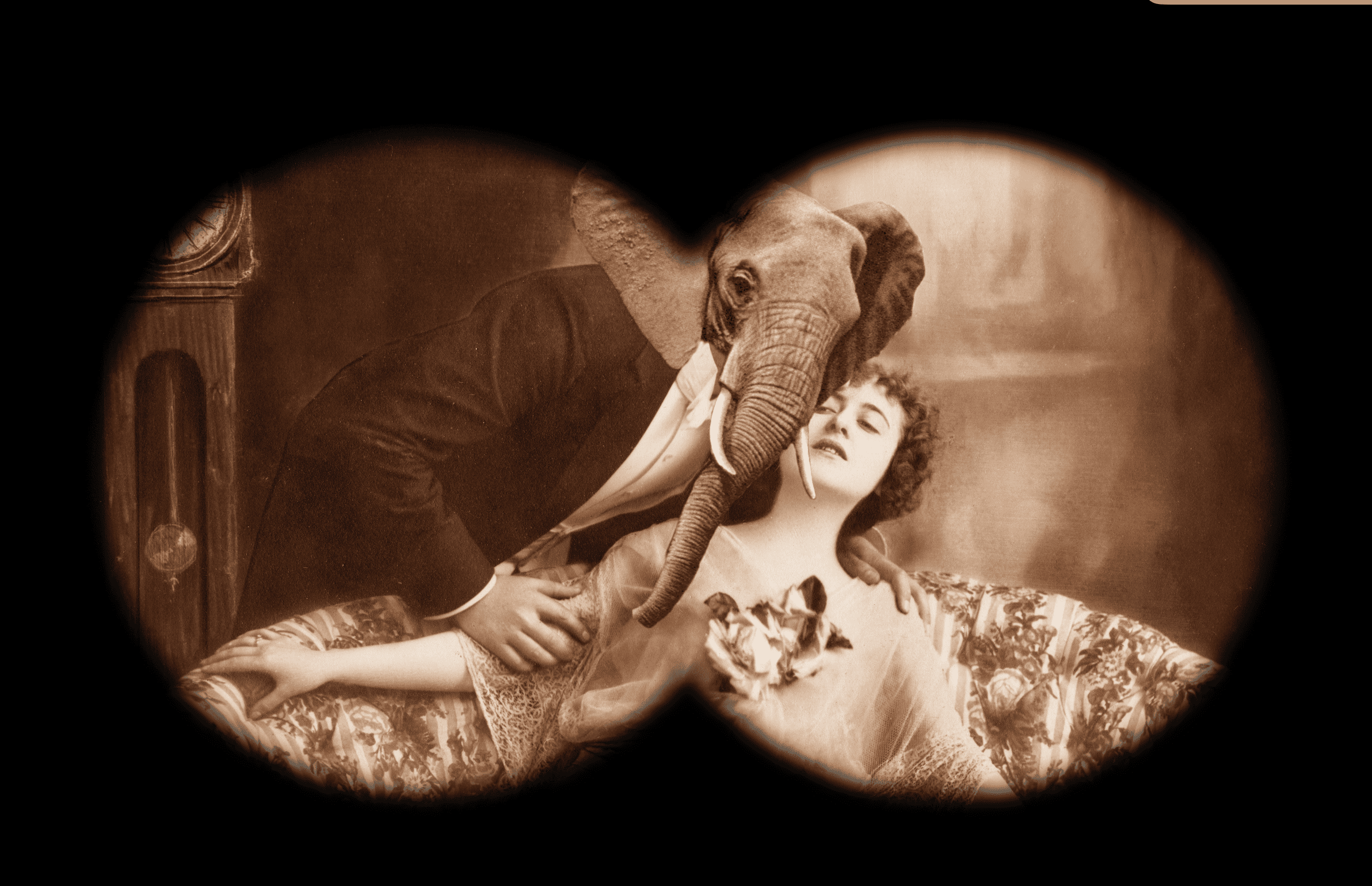 Le Vertige de l’Amour selon Plonk et Replonk
