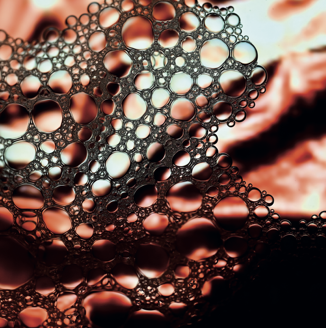 when science meets art